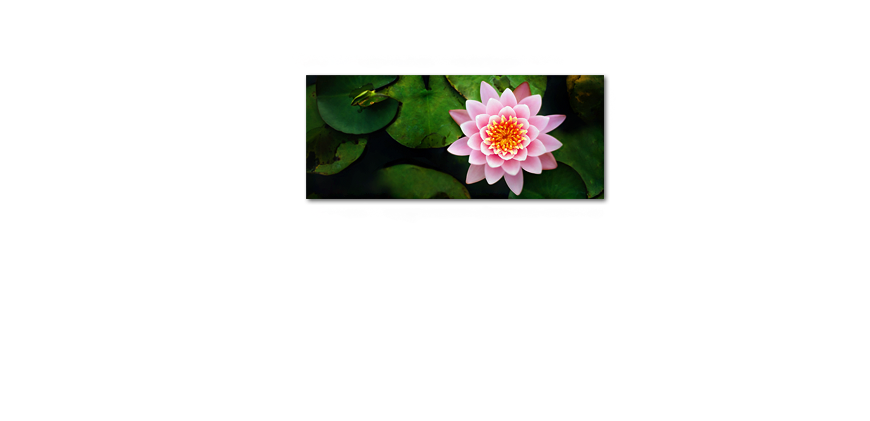 El cuadro Shining Lotus 120x50cm