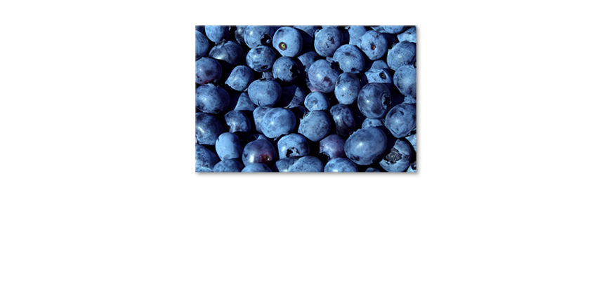 Blueberries-Cuadro