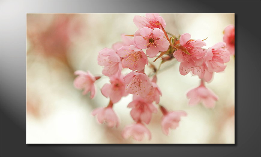 Decoración-moderna-Cherry-Blossoms-80x50-cm
