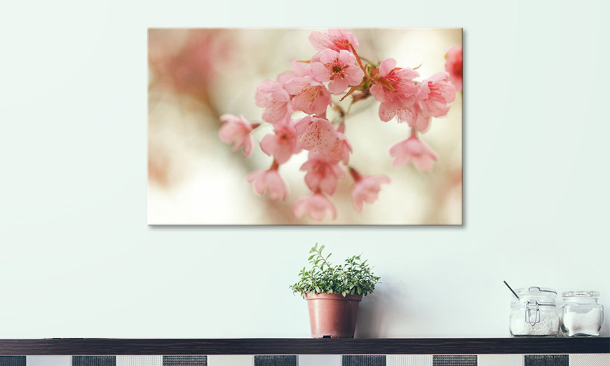 Decoración moderna Cherry Blossoms 80x50 cm