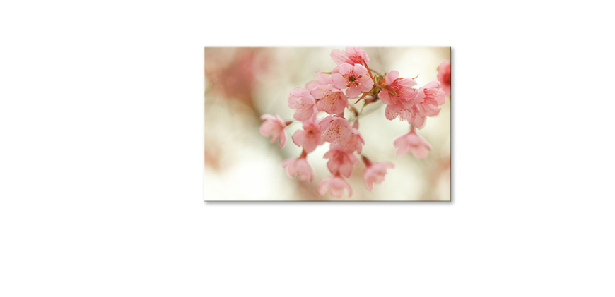 Decoración-moderna-Cherry-Blossoms-80x50-cm