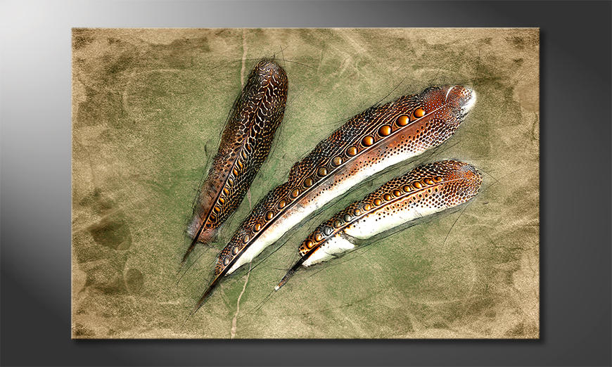 Decoración moderna Feather Of Pheasan