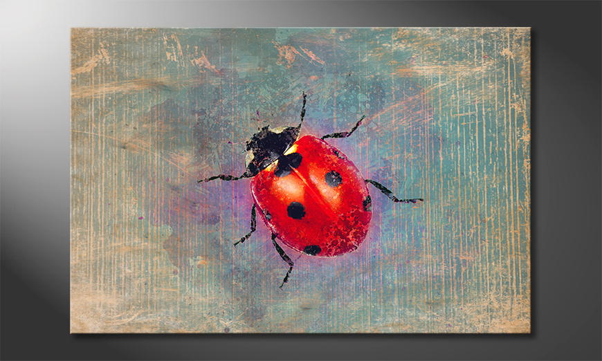 Decoración-moderna-Ladybug