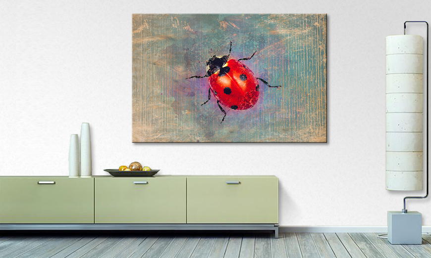 Decoración moderna Ladybug