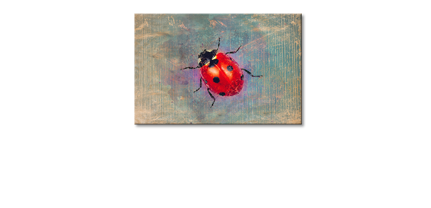 Decoración-moderna-Ladybug