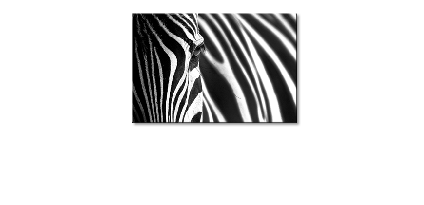 El-cuadro-Animal-Stripes