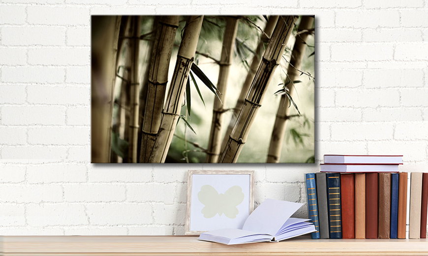 El cuadro Bamboo Forest 60x40 cm