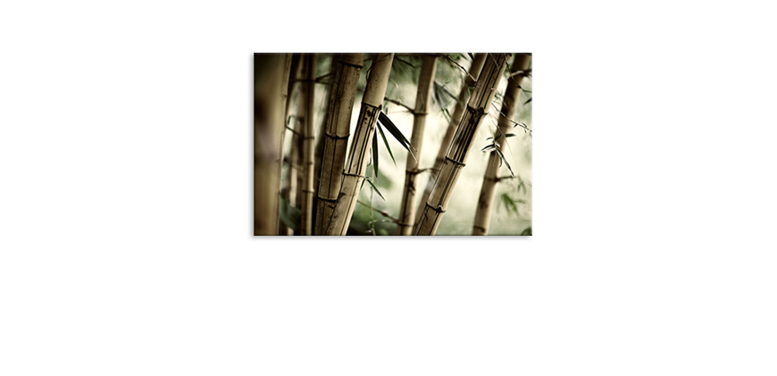 El-cuadro-Bamboo-Forest-60x40-cm