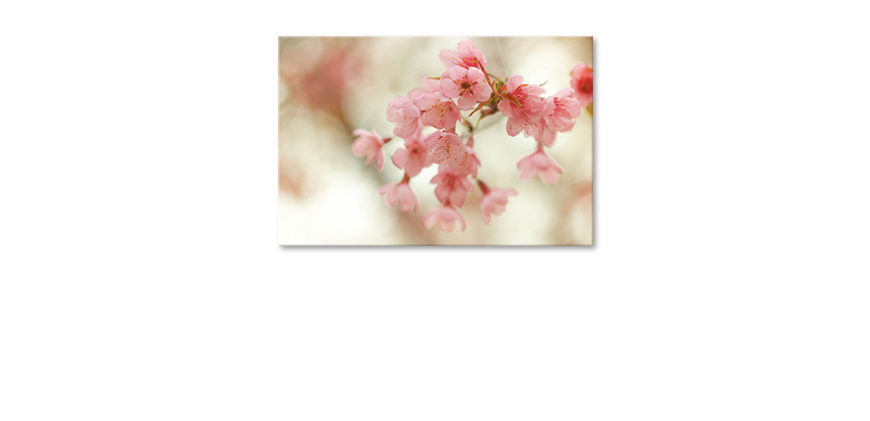 El-cuadro-Cherry-Blossoms
