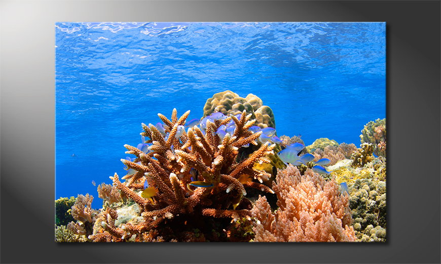 El-cuadro-Corals-Reef