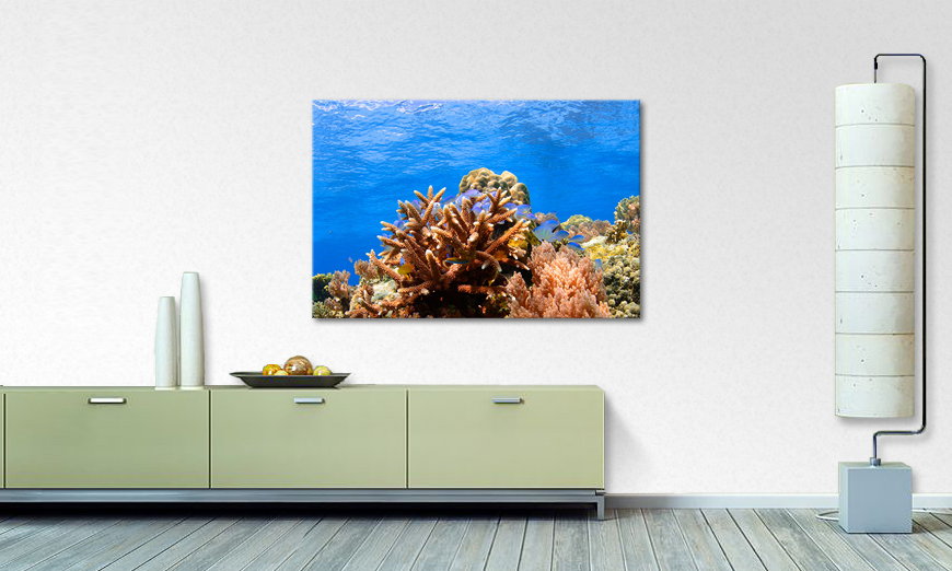 El cuadro Corals Reef