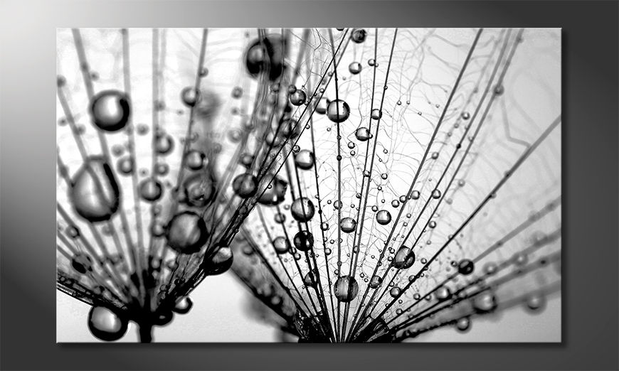 El-cuadro-Dandelion-Seeds-80x50-cm