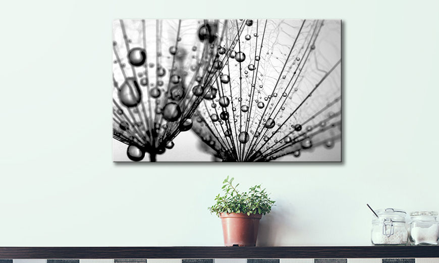El cuadro Dandelion Seeds 80x50 cm