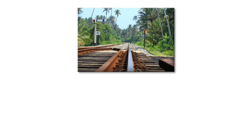 El-cuadro-Srilankan-Rails