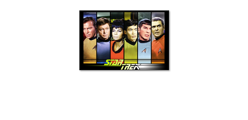 El-cuadro-Star-Trek-Crew