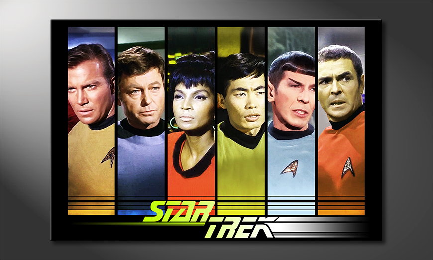 El cuadro Star Trek Crew