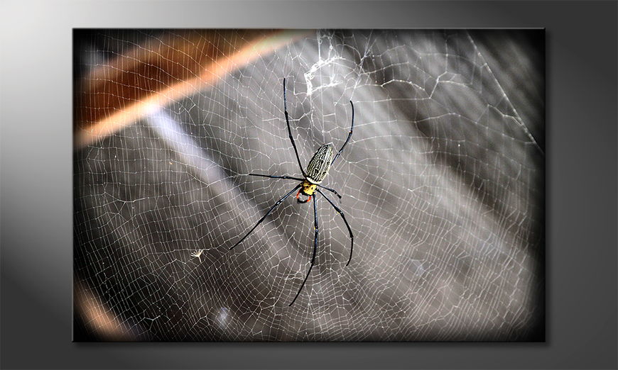 El-cuadro-impreso-Beautiful-Spider