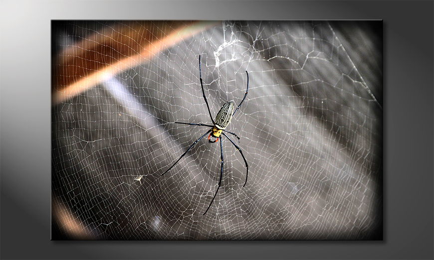 El cuadro impreso Beautiful Spider