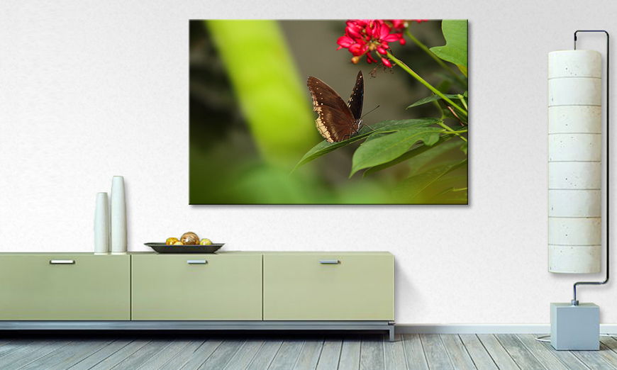 El cuadro impreso Brown Butterfly