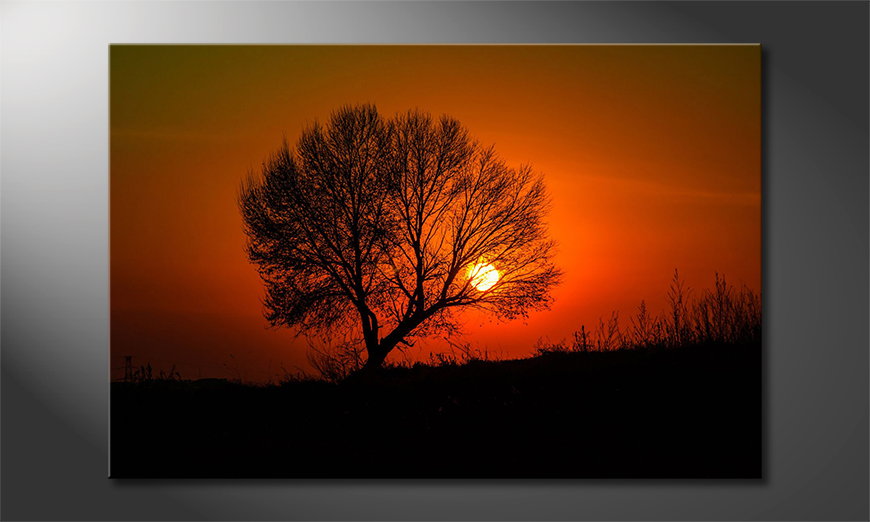 El-cuadro-impreso-Red-Sunset