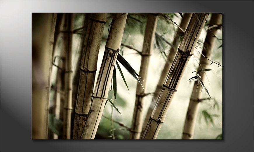 El-cuadro-moderno-Bamboo-Forest