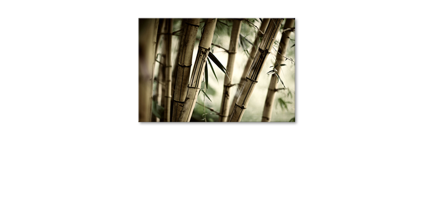 El-cuadro-moderno-Bamboo-Forest