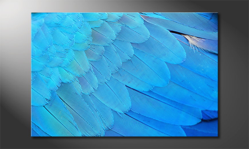El-cuadro-moderno-Bird-Feathers