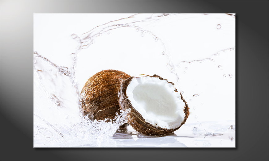 El-cuadro-moderno-Coconut