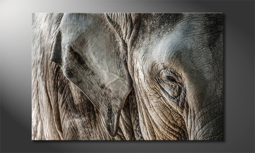 El-cuadro-moderno-Eye-of-Elephant