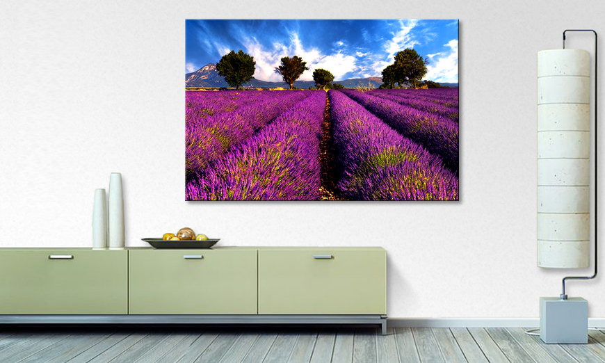 El cuadro moderno Lavender