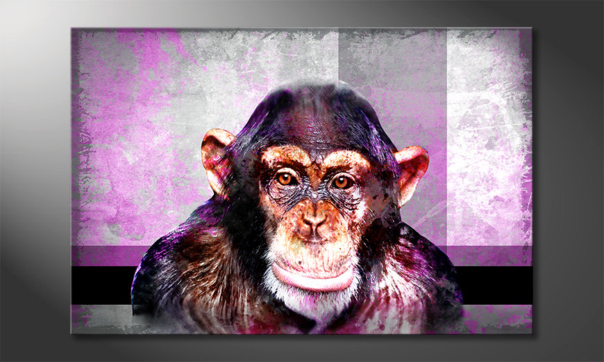El cuadro moderno Mr. Monkey