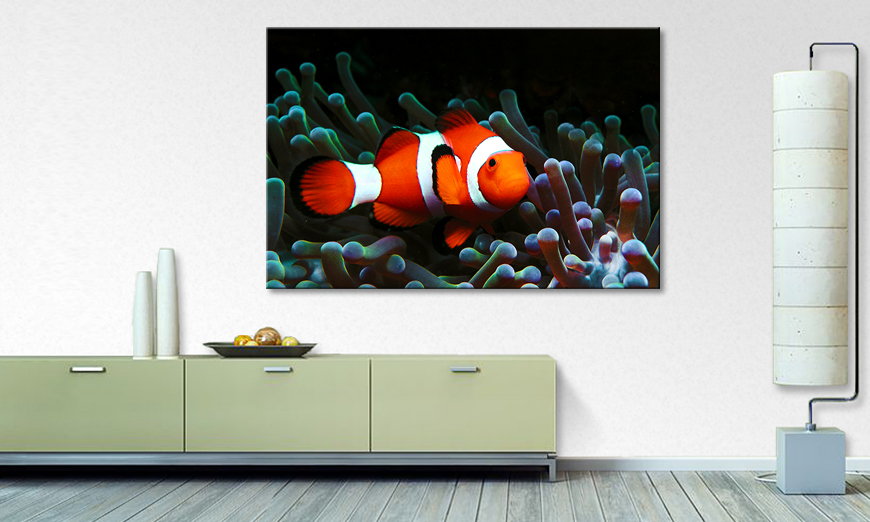 El cuadro moderno Nemo