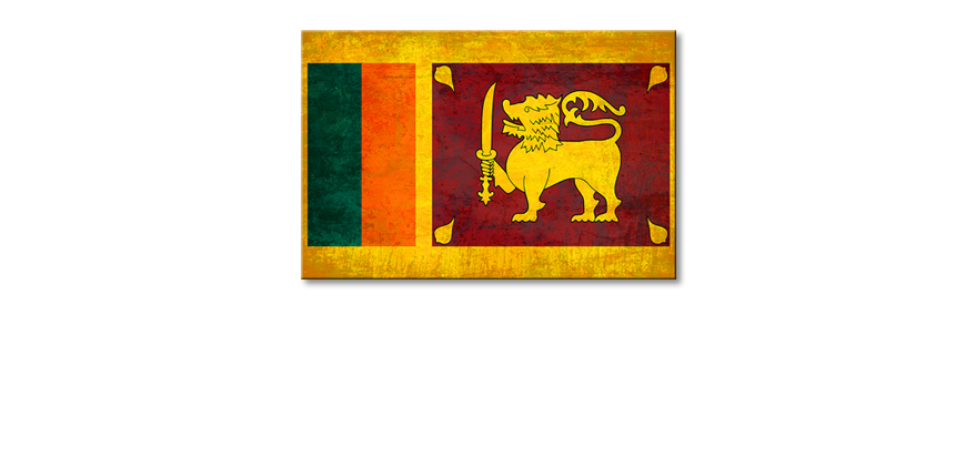 El-cuadro-moderno-Sri-Lanka