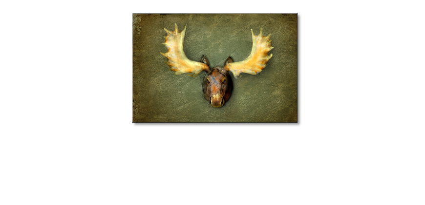 El-cuadro-moderno-The-Elk