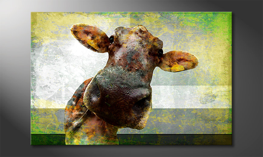 Impresión de arte moderno Cow Nose
