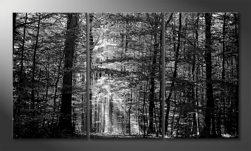 Impresión-de-arte-moderno-Into-the-Forest-180x100-cm