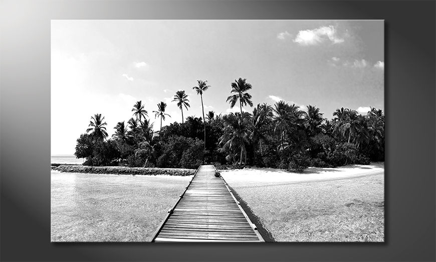 Impresión-de-la-lona-Tropical-Maldives