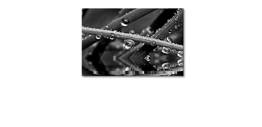 Impresión-de-la-lona-Water-Drops