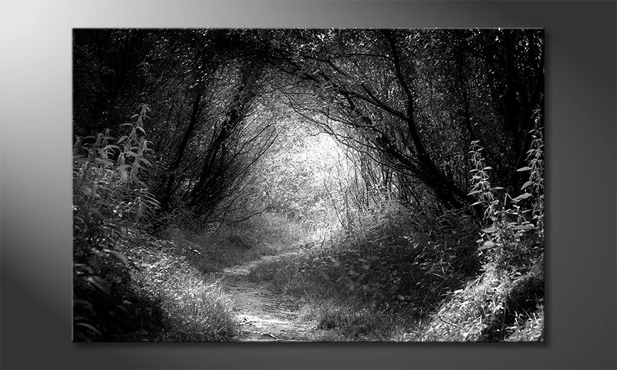La-bonita-pintura-Way-In-Deep-Forest