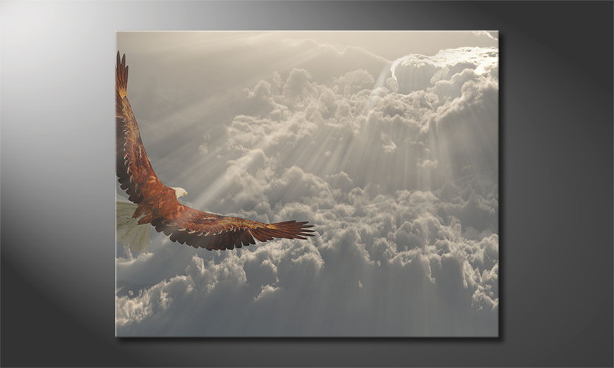 La-cuadro-impresa-Eagle-in-Flight-100x80-cm