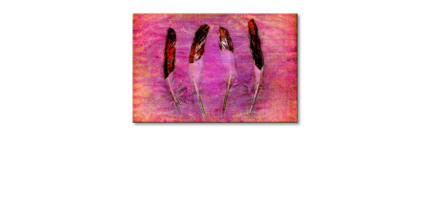 La-cuadro-impresa-Feathers-and-Pink