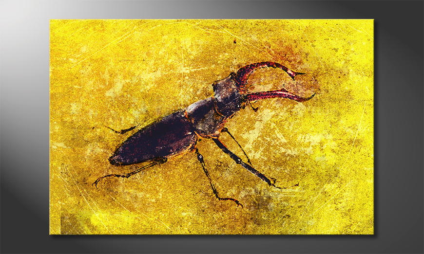 La-cuadro-impresa-Stag-Beetle