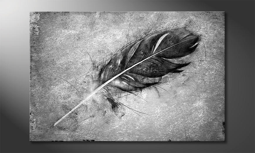 La-impresión-exclusiva-Beautiful-Feather