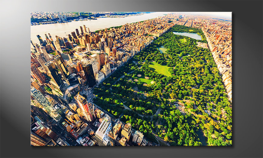 La pintura  exclusiva Central Park